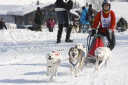 Lenk 2012 SM